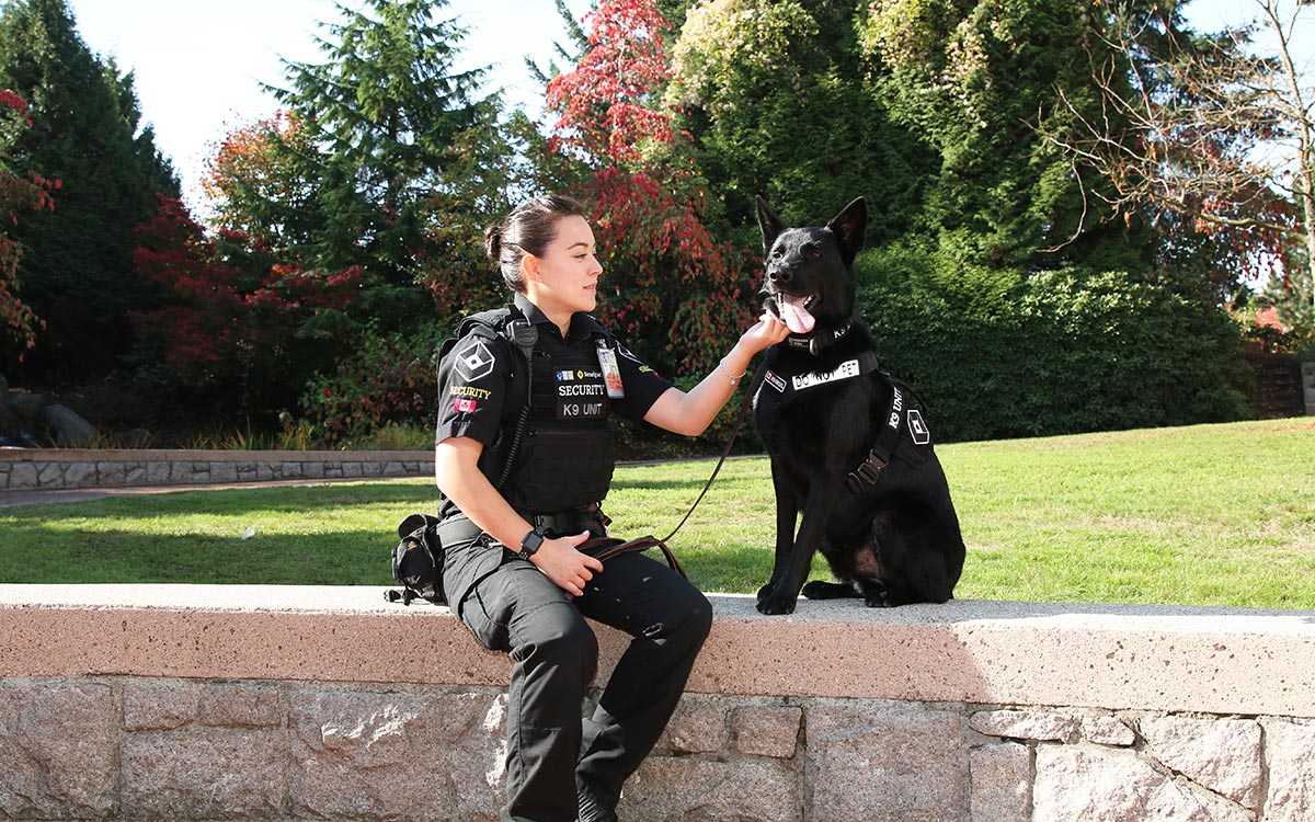 After graduating from JIBC’s Law Enforcement Studies Diploma program, Courtney Lee was hired by Securiguard as a dog handler for Diesel, who specializes in explosives detection, at YVR. 