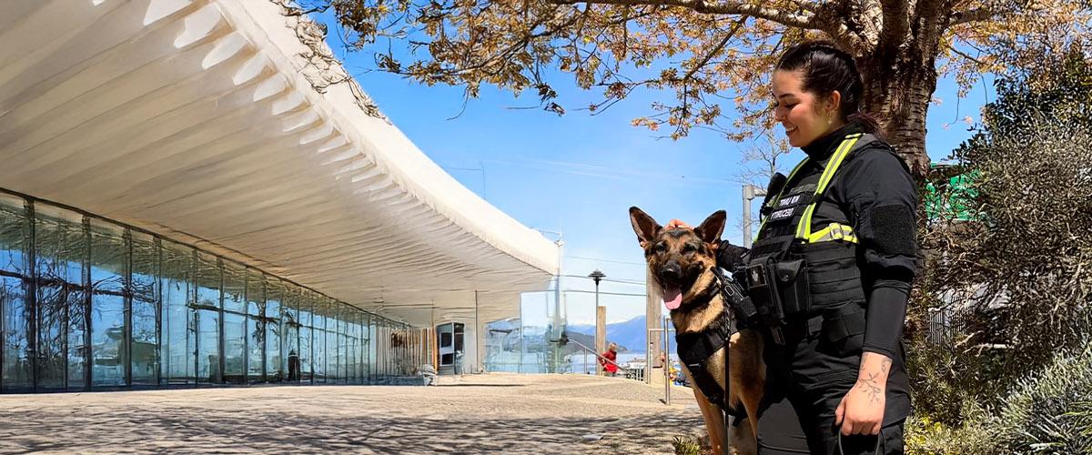 2025-kalen-lesd-banner-2400x500