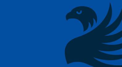 Blue Griffin Banner